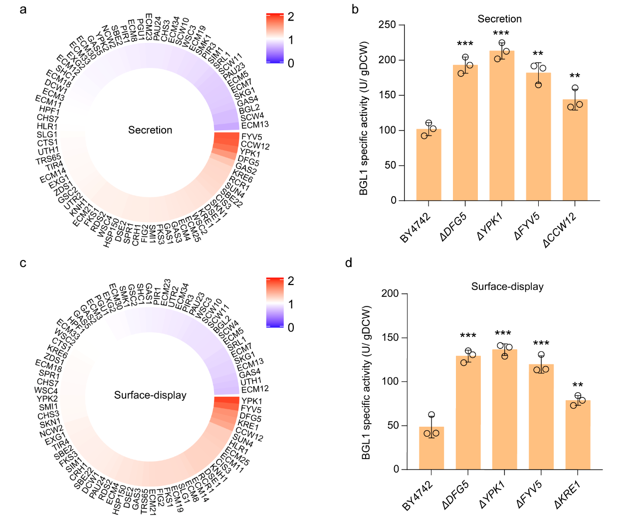 beat365在线体育app