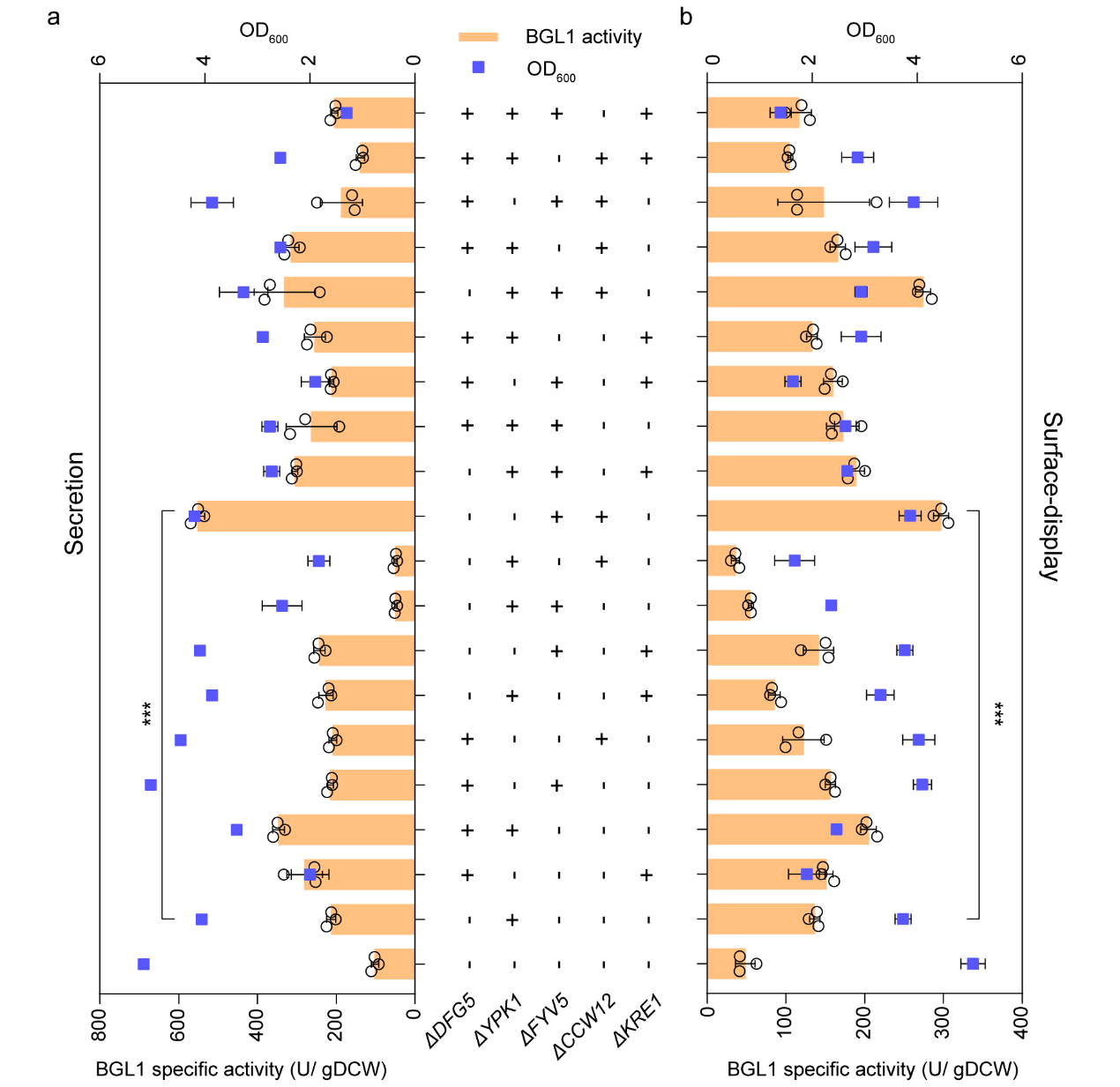 beat365在线体育app