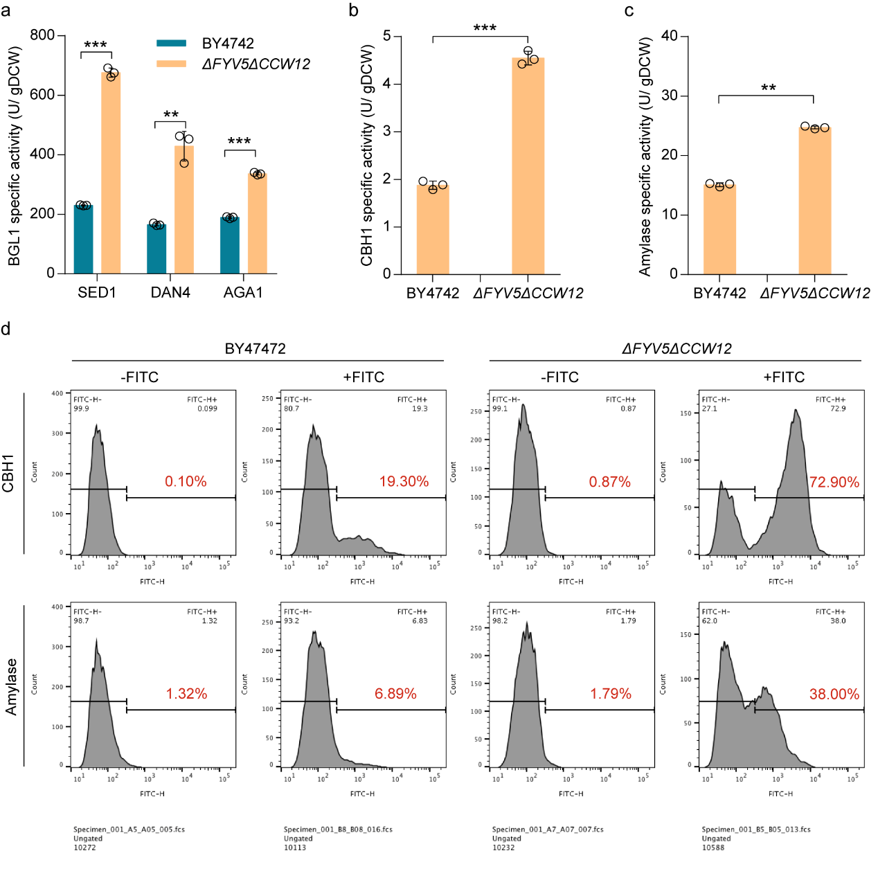 beat365在线体育app