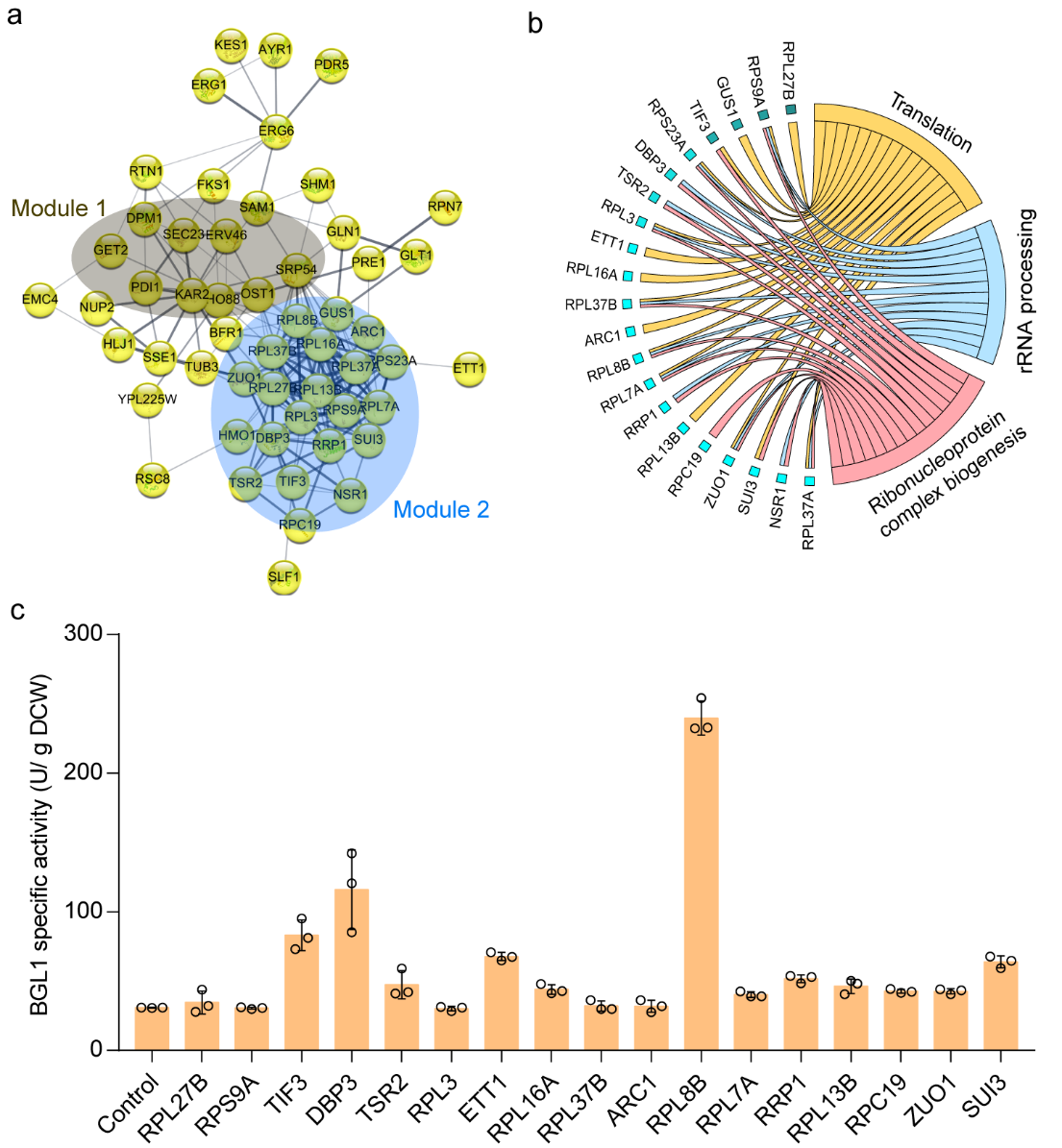 beat365在线体育app
