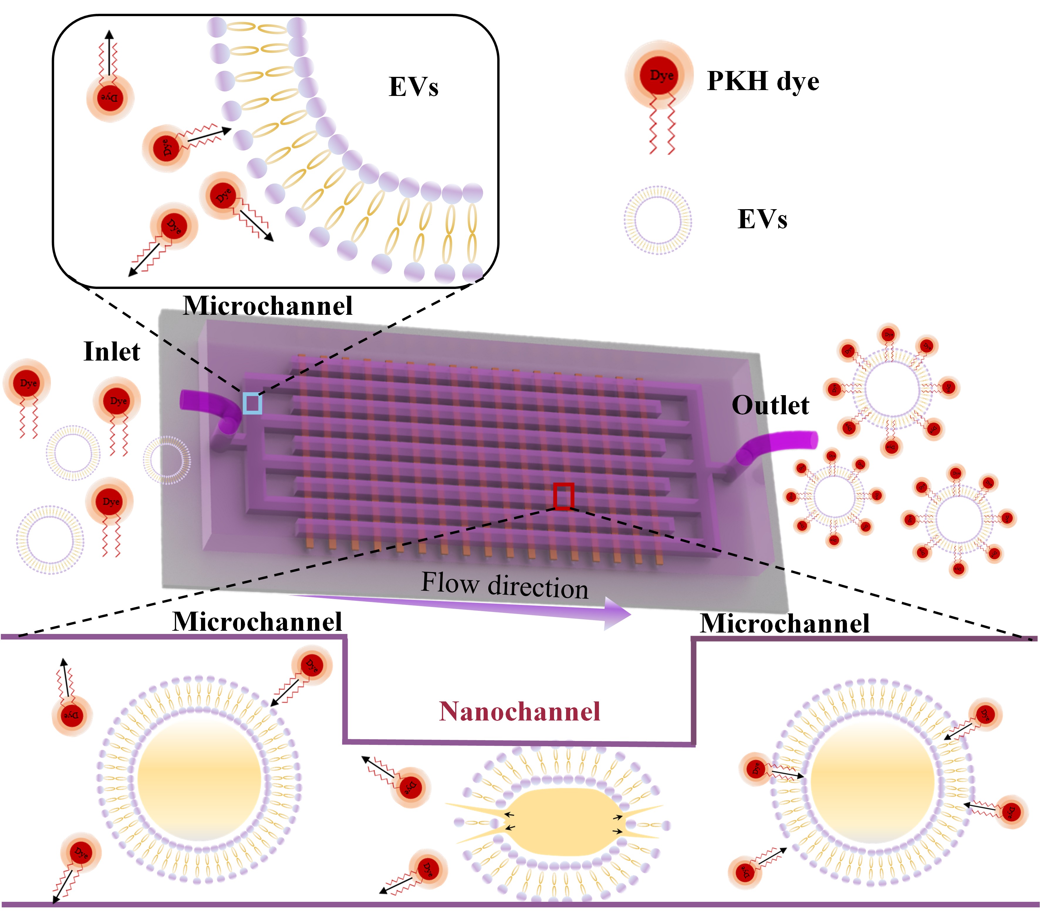 beat365在线体育app