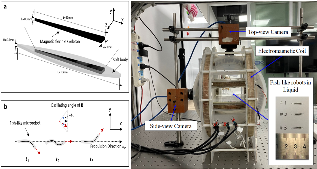 beat365在线体育app