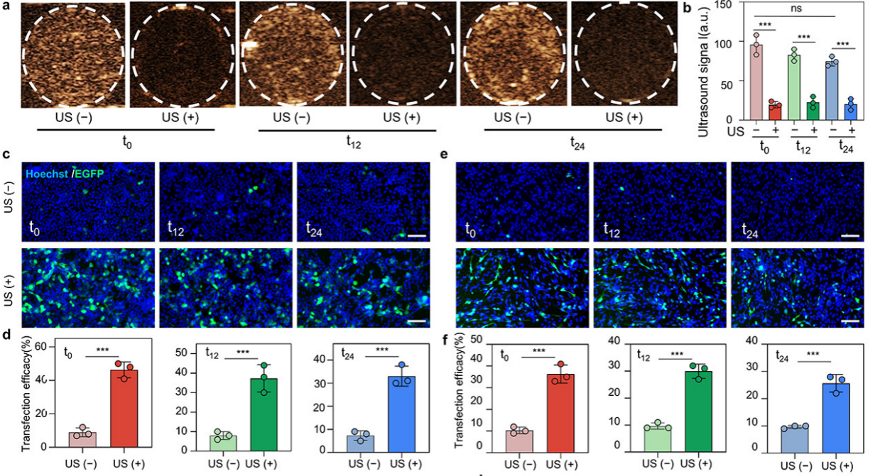 beat365在线体育app