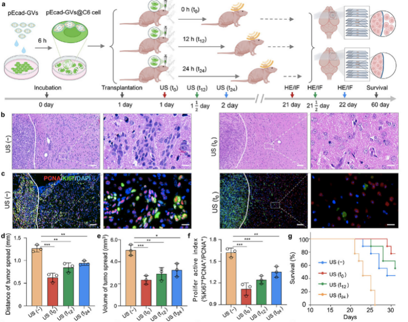 beat365在线体育app