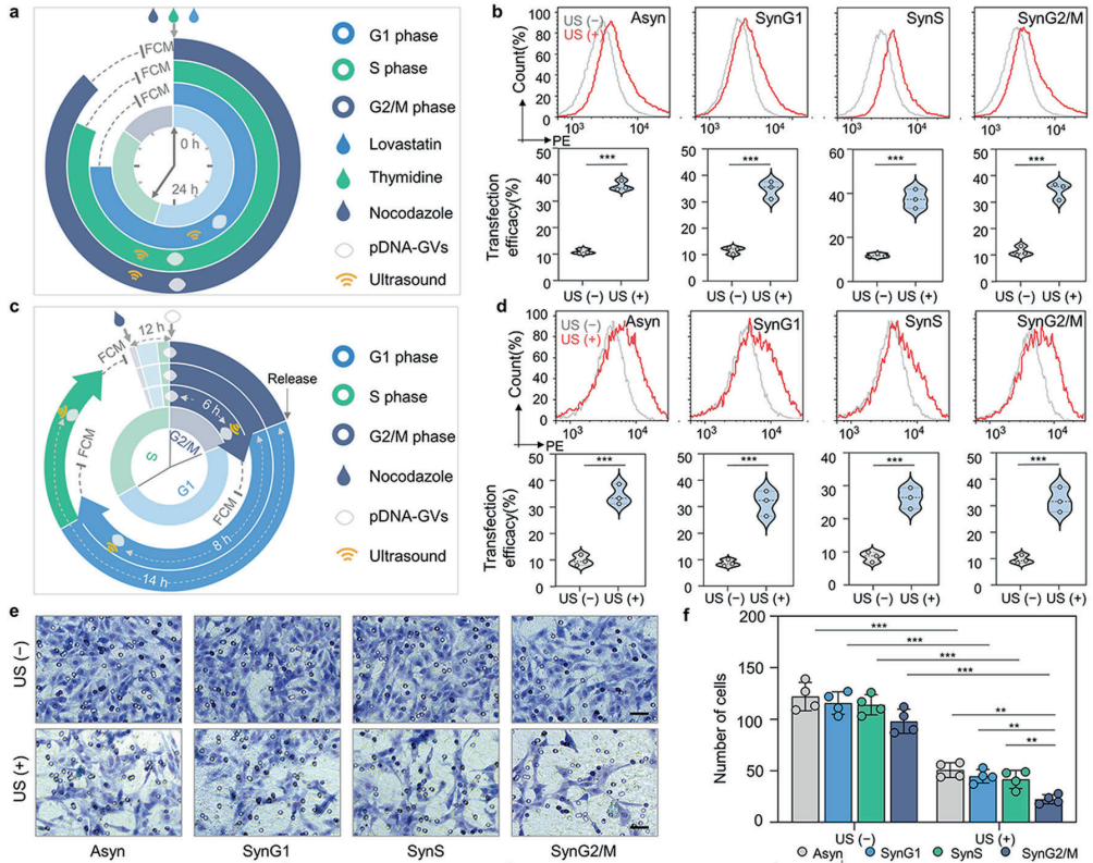 beat365在线体育app