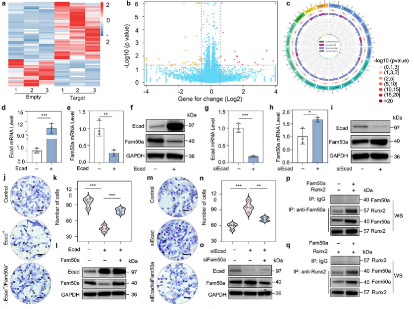 beat365在线体育app