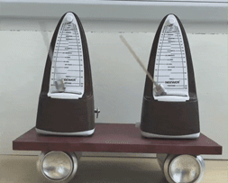 beat365在线体育app