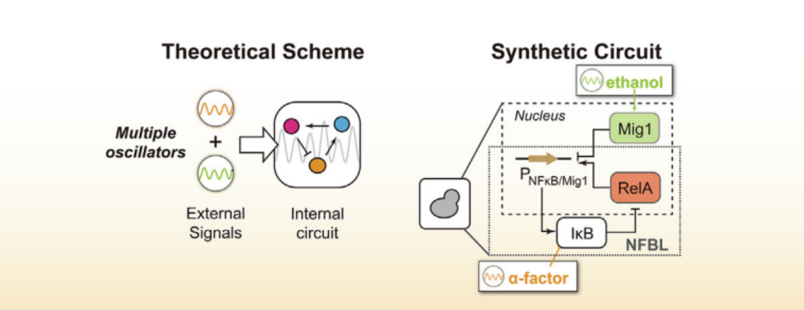 beat365在线体育app