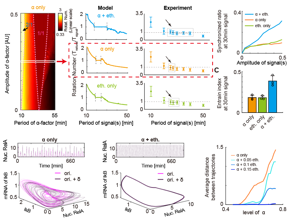 beat365在线体育app