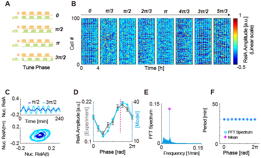 beat365在线体育app