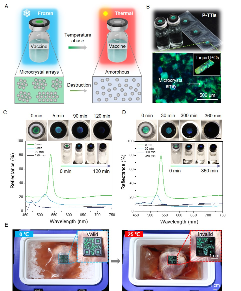 beat365在线体育app