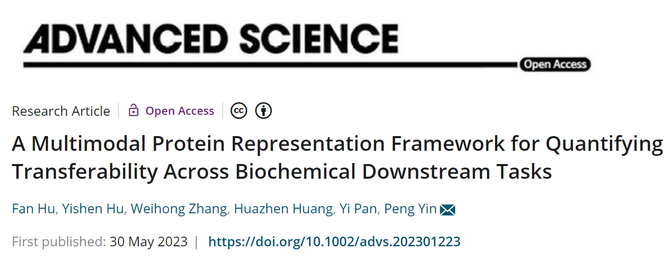 beat365在线体育app