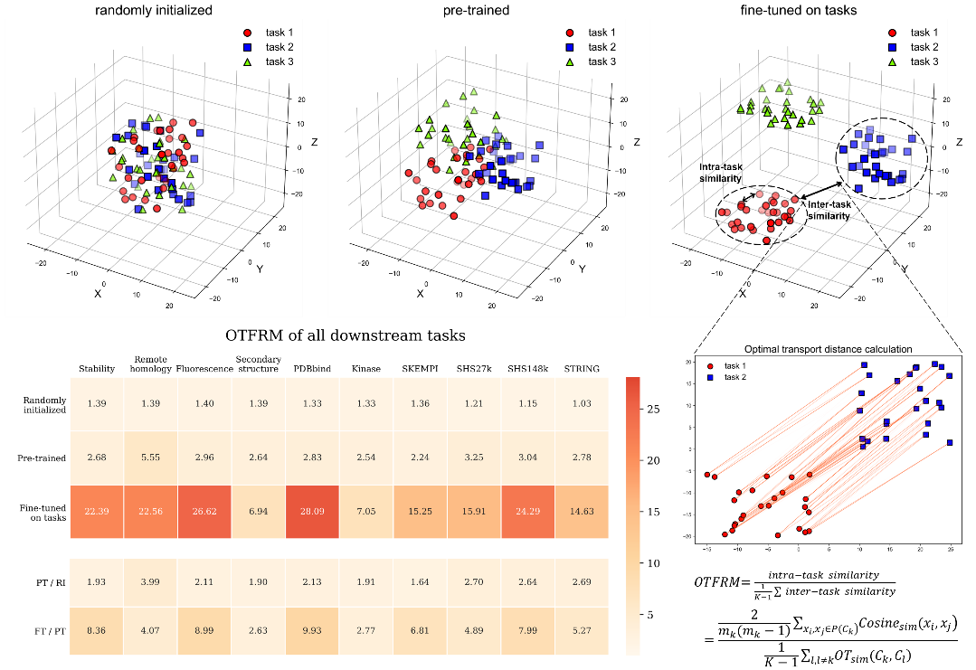 beat365在线体育app
