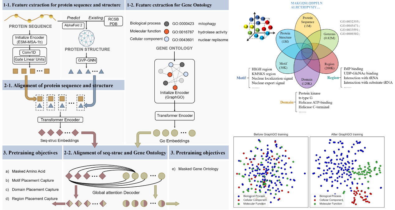 beat365在线体育app