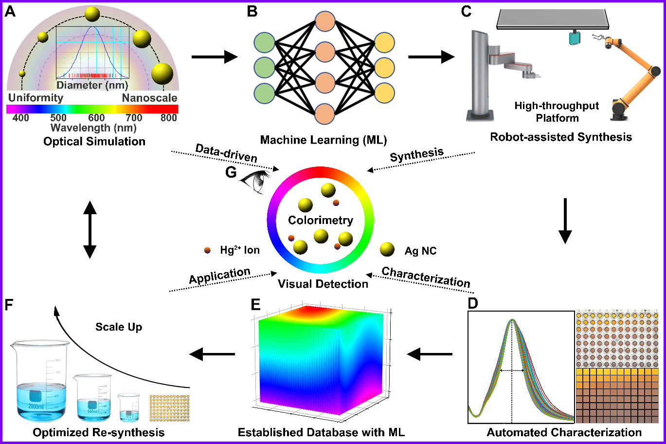 beat365在线体育app