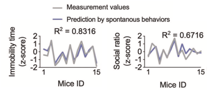 beat365在线体育app