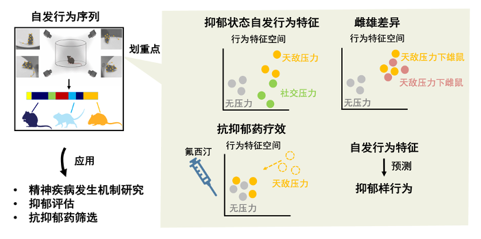 beat365在线体育app