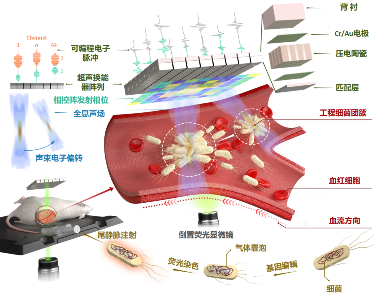 beat365在线体育app