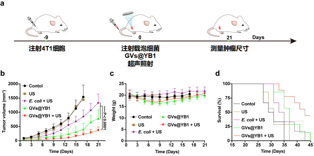 beat365在线体育app