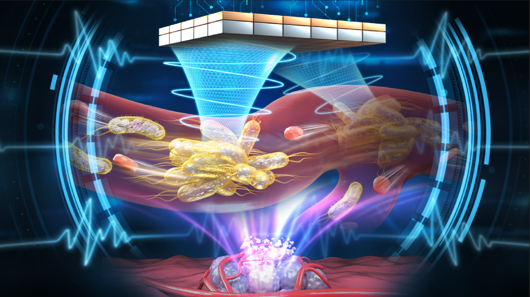 beat365在线体育app