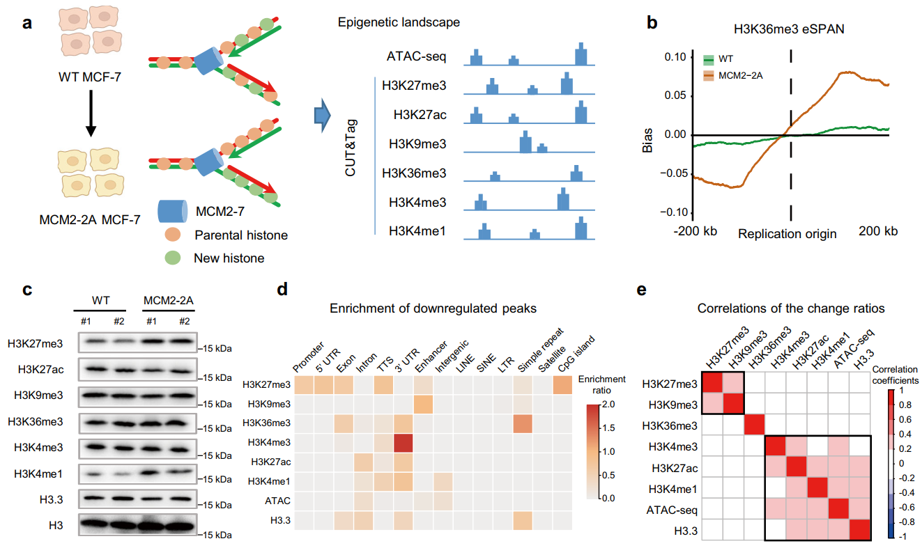 beat365在线体育app