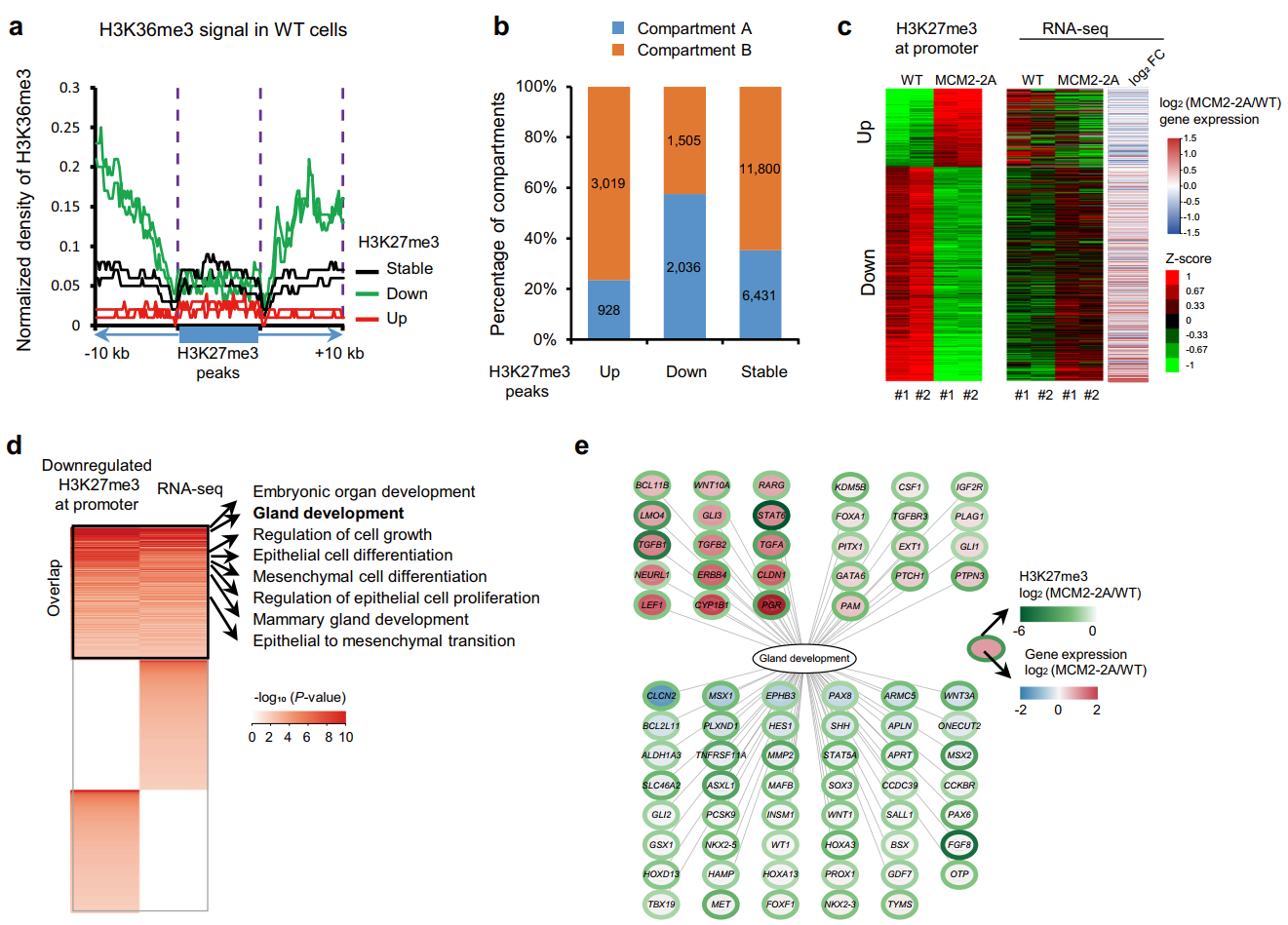 beat365在线体育app