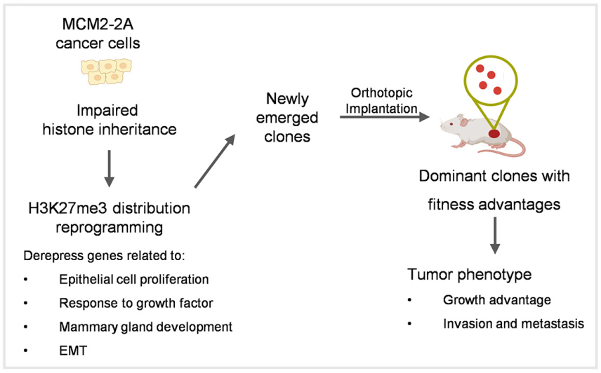beat365在线体育app