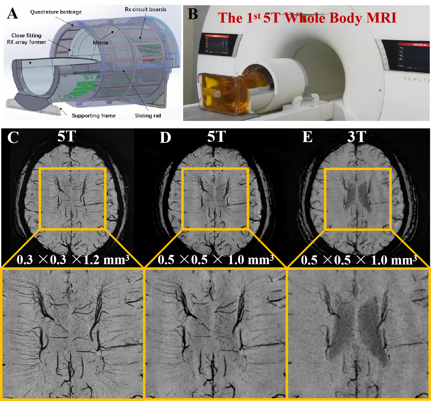 beat365在线体育app