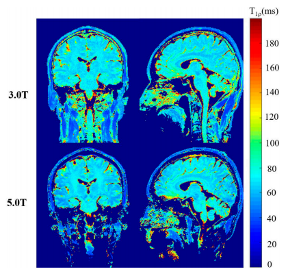 beat365在线体育app