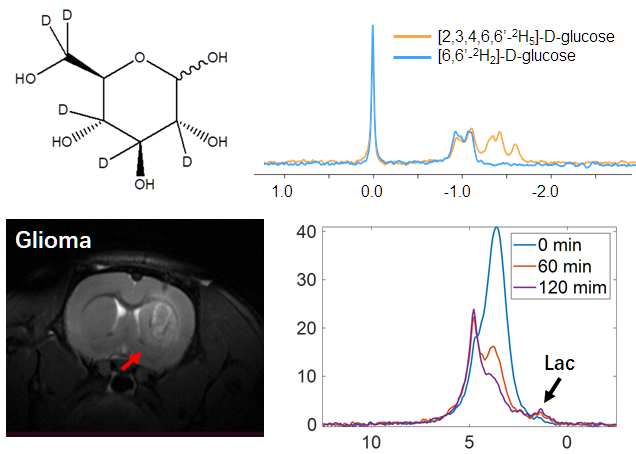 beat365在线体育app