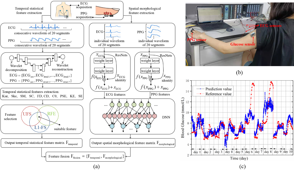 beat365在线体育app
