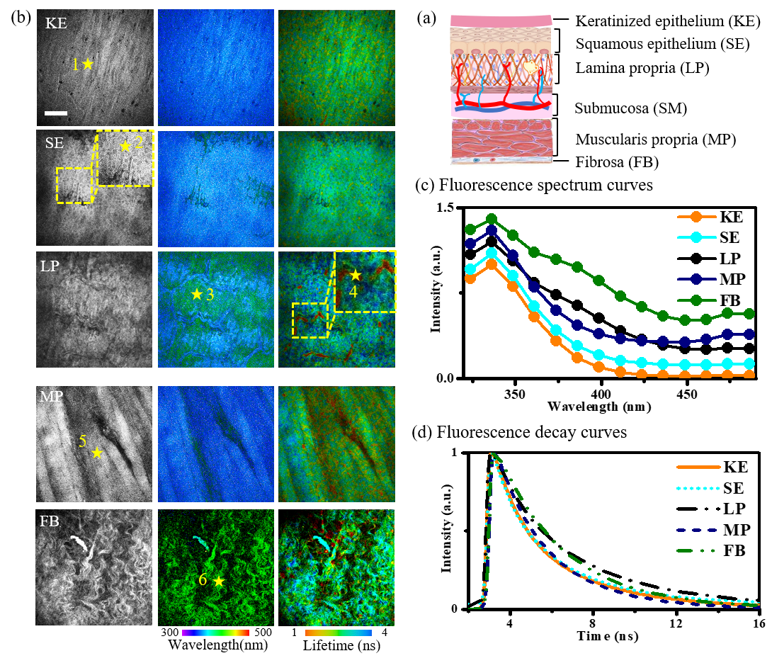 beat365在线体育app