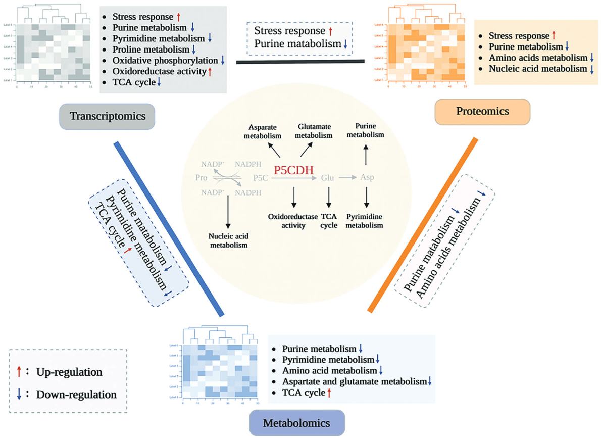 beat365在线体育app