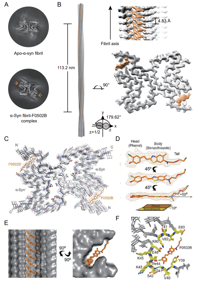 beat365在线体育app