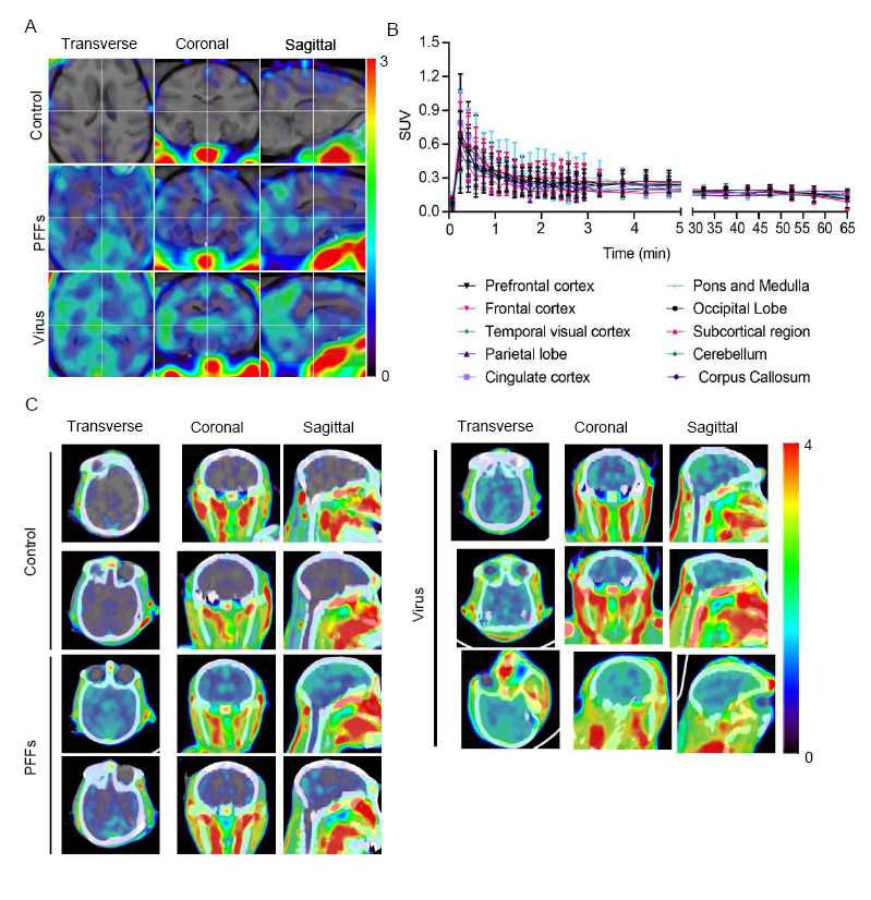 beat365在线体育app