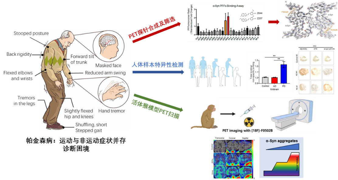 beat365在线体育app