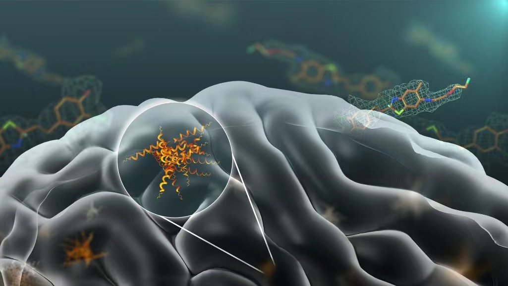 beat365在线体育app