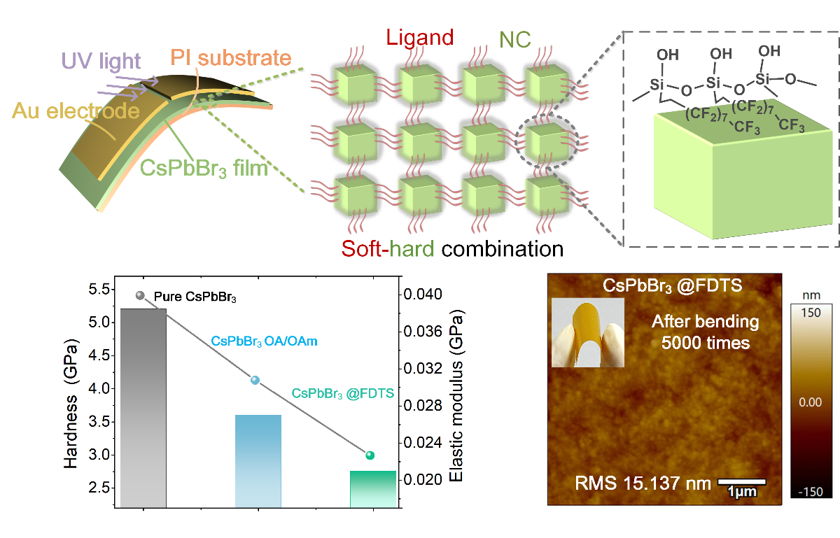 beat365在线体育app