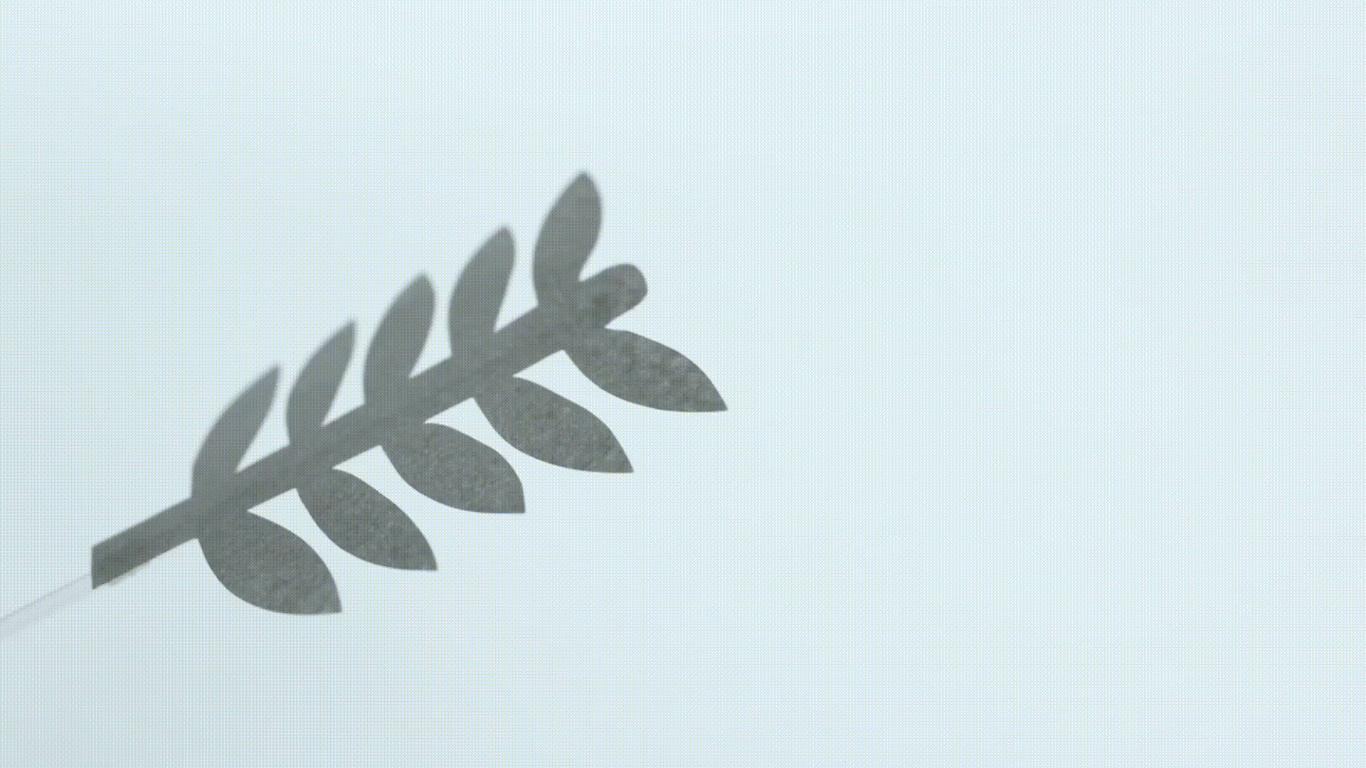 beat365在线体育app