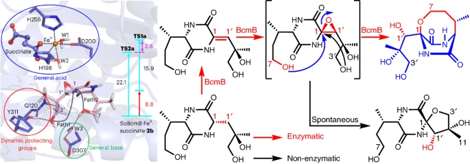 beat365在线体育app