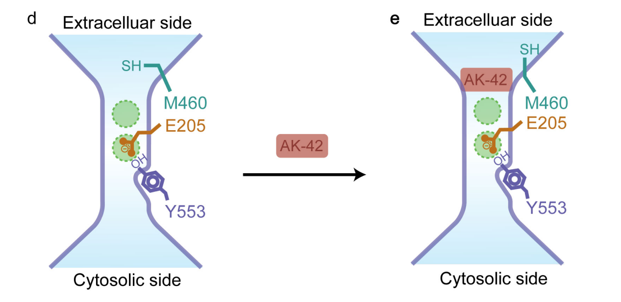 beat365在线体育app