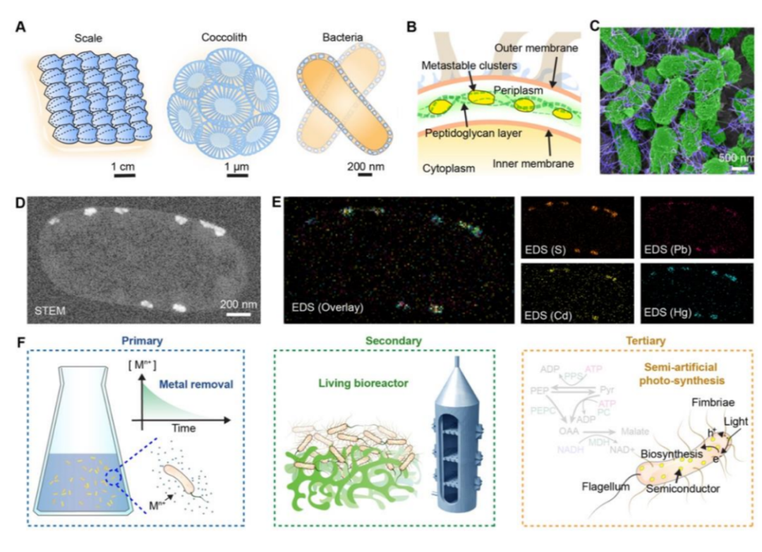 beat365在线体育app