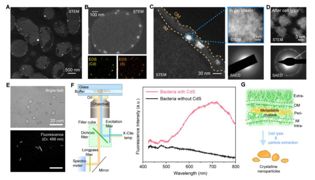 beat365在线体育app