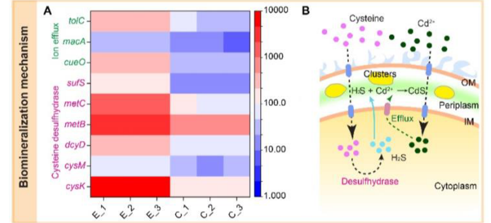 beat365在线体育app