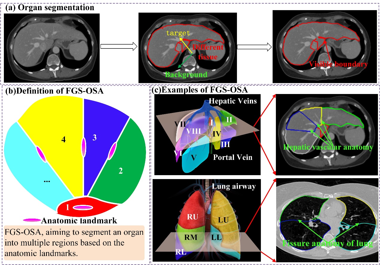 beat365在线体育app