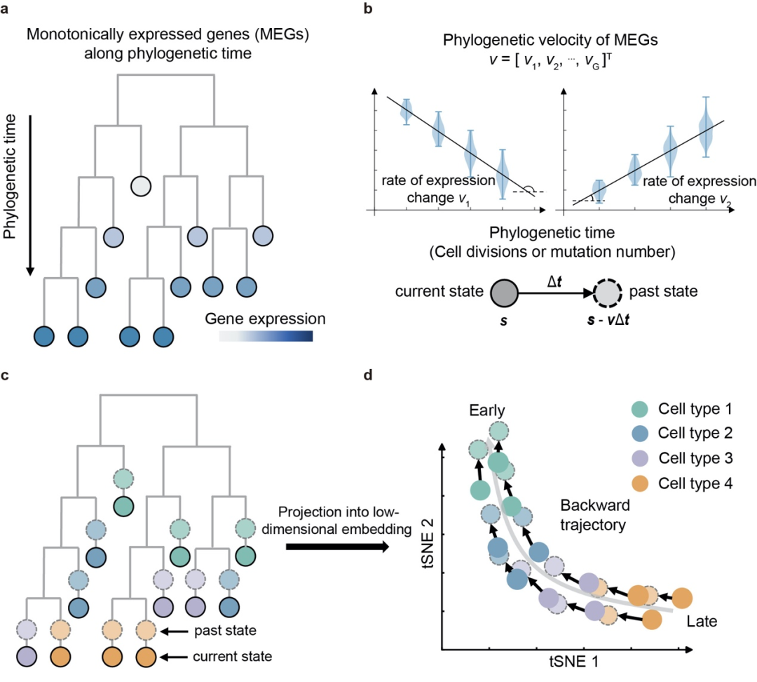 beat365在线体育app