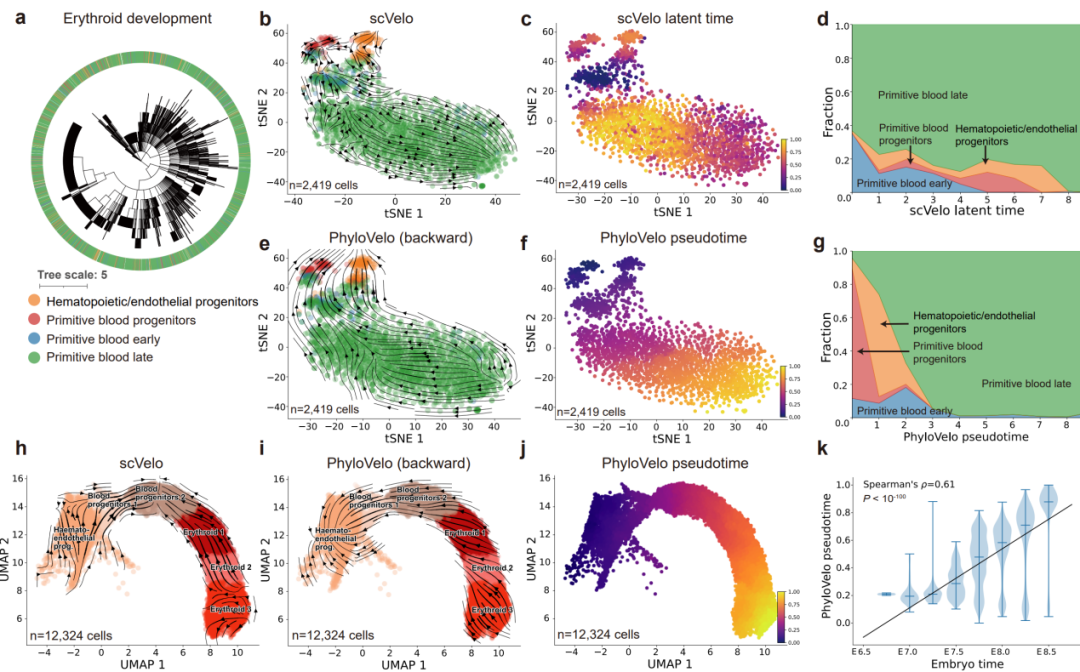 beat365在线体育app