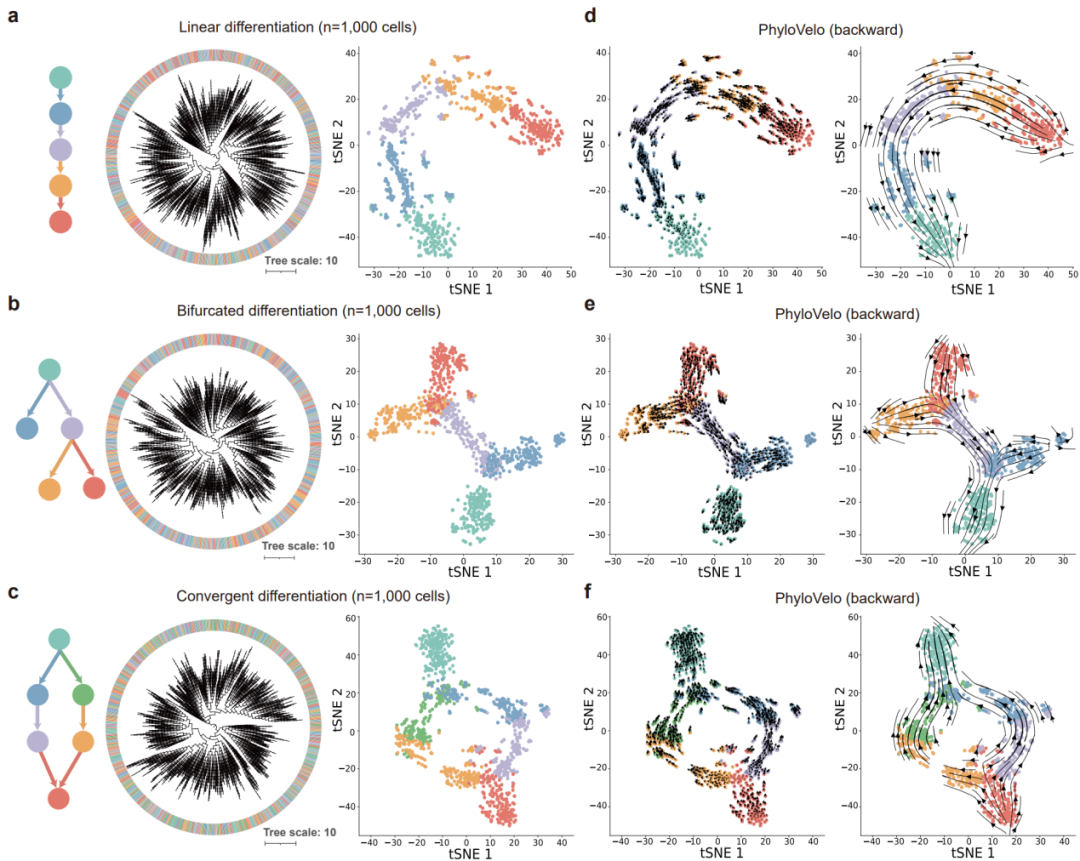 beat365在线体育app
