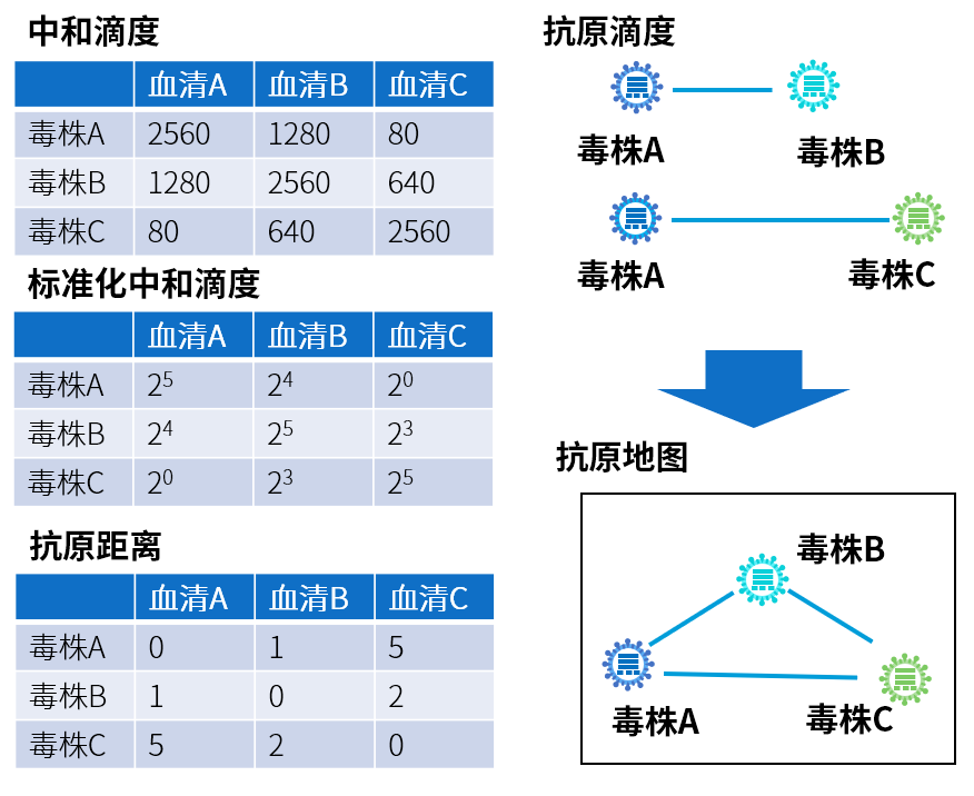 beat365在线体育app