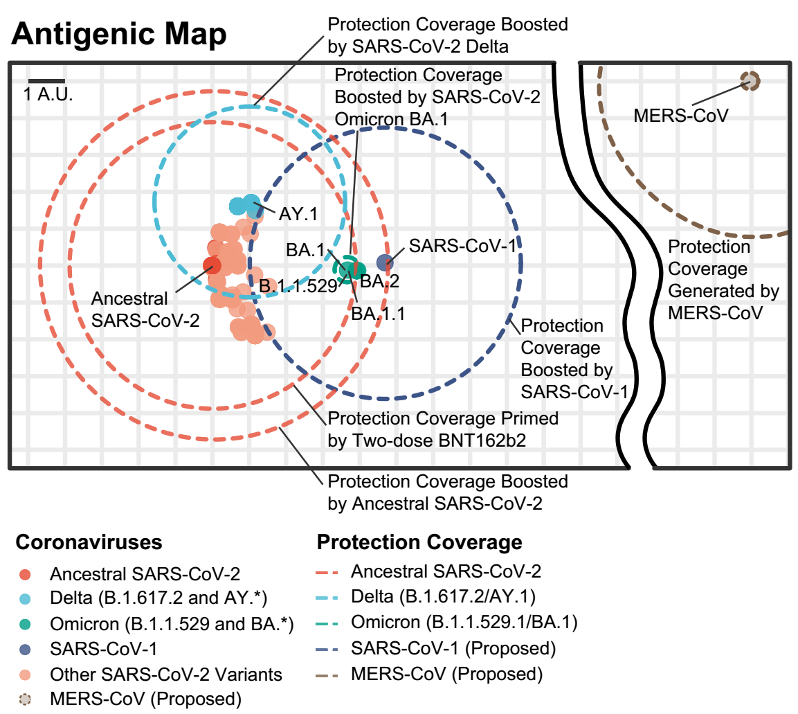 beat365在线体育app